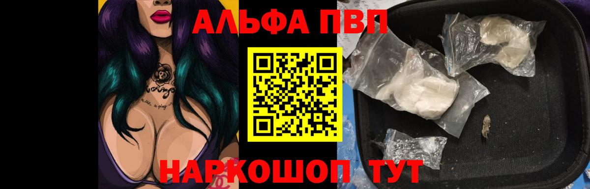 A PVP СК КРИС Архангельск