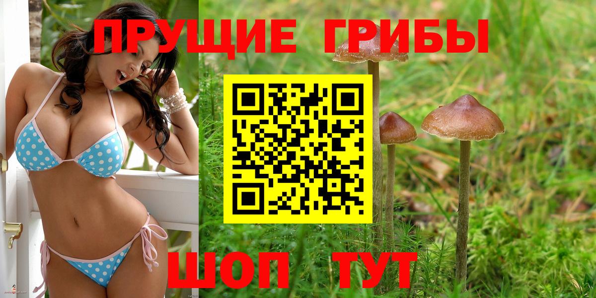 Псилоцибиновые грибы прущие грибы  Вход с VPN  Архангельск 